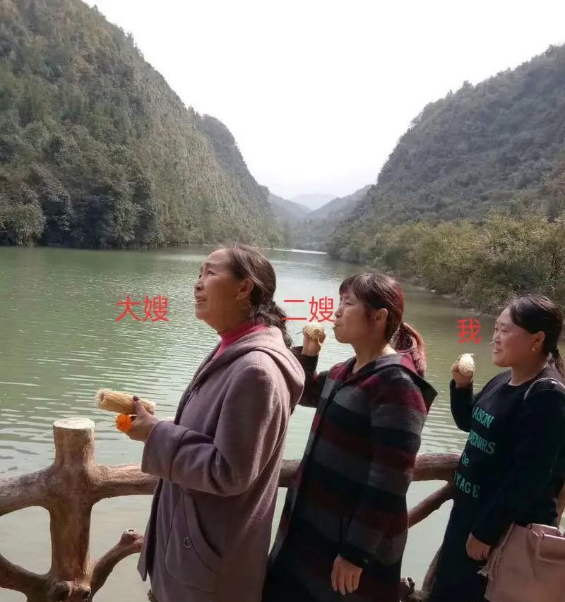 珍爱每一份情感（一个人的爱，不只是属于自己）-第2张图片-学作网