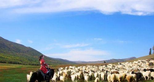 《心灵淳朴的奇幻之旅》（一个人的梦想，一个心灵旅程，一段难忘的回忆）-第1张图片-学作网