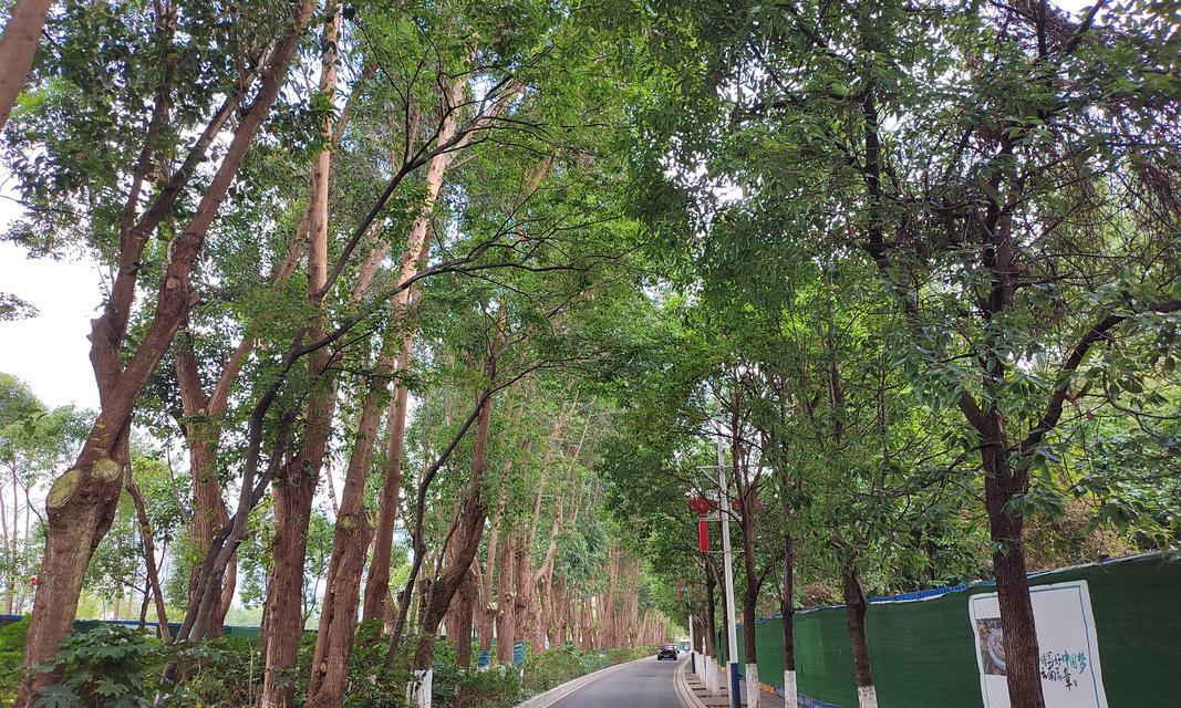 追寻梦想的路上（只要坚持不懈，梦想就会成真）-第3张图片-学作网