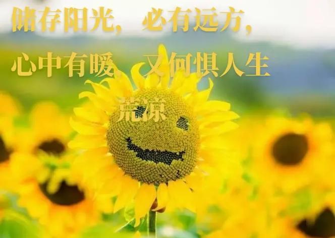 回味绝佳的小镇美食之旅-第1张图片-学作网