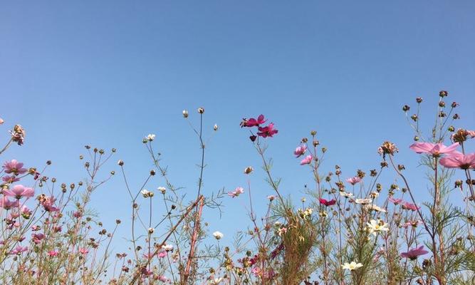 那个美丽瞬间（每个人都有属于自己的幸福时刻）-第3张图片-学作网