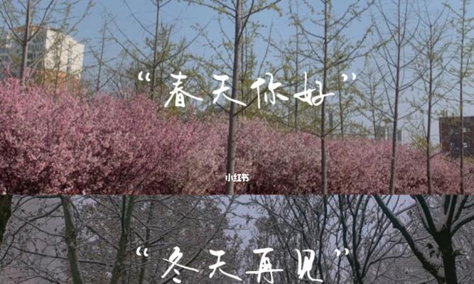我的冬天（温暖的回忆）-第3张图片-学作网