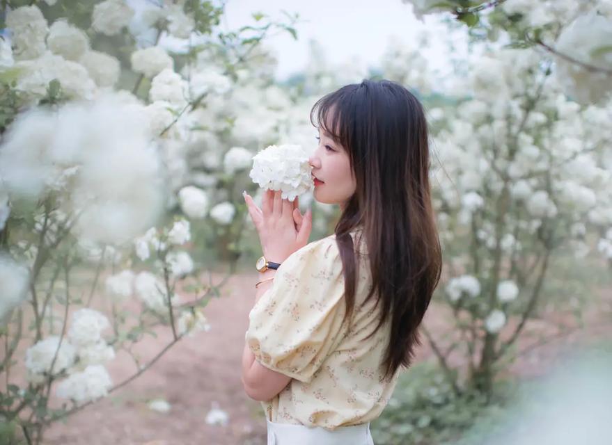 记忆中的芬芳（一场关于回忆的盛宴）-第3张图片-学作网