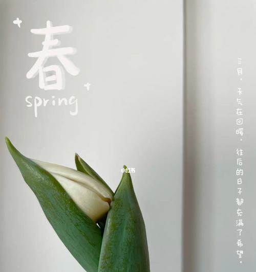 温暖的力量（一位老人的温馨故事）-第2张图片-学作网