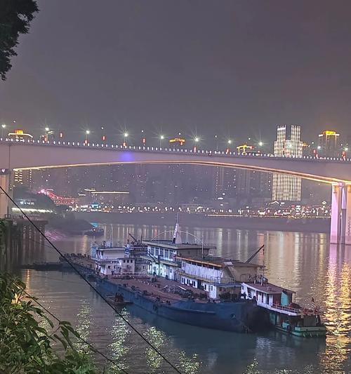 带鱼之旅（记忆中的美好一瞬间）-第2张图片-学作网