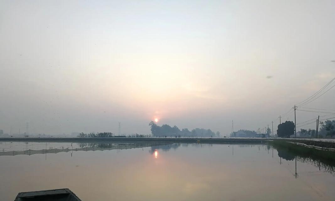 追寻传统，过端午（一次珍贵的家乡回忆）-第1张图片-学作网