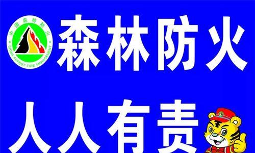 森林防火3（火线追查，危机四伏）-第1张图片-学作网