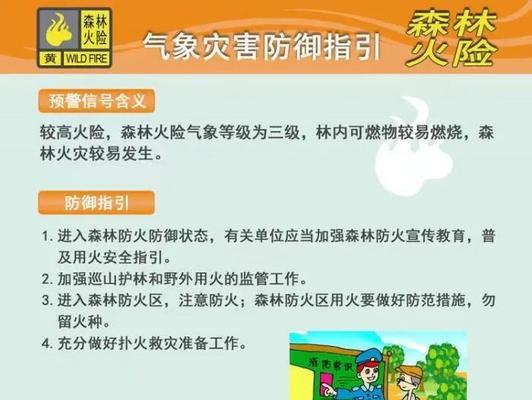 森林防火3（火线追查，危机四伏）-第3张图片-学作网