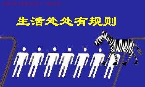规则下的自由（安娜的冒险之旅）-第1张图片-学作网