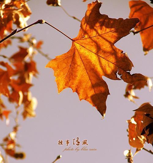 童年回忆|沉淀在时光中的美好-第1张图片-学作网