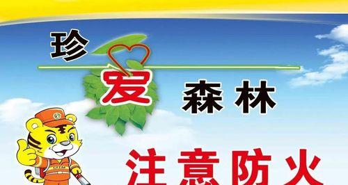 灾难中的担当（保护森林，从自身做起）-第3张图片-学作网