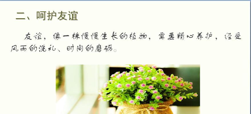 友情天空下的珍贵回忆-第3张图片-学作网