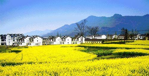 AWalkThroughtheCountryside-第1张图片-学作网