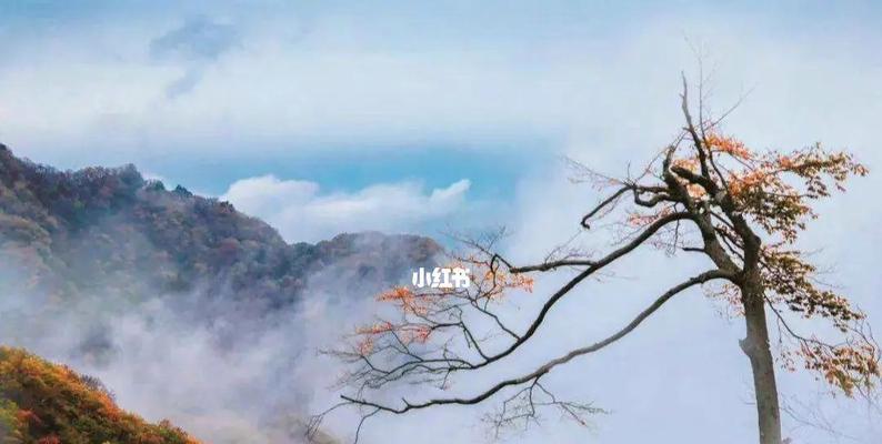 欣赏人生路途上的风景，收获心灵深处的感悟（欣赏人生路途上的风景，收获心灵深处的感悟）-第2张图片-学作网
