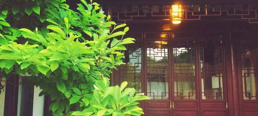 心间之诗（寻找内心的诗意）-第1张图片-学作网