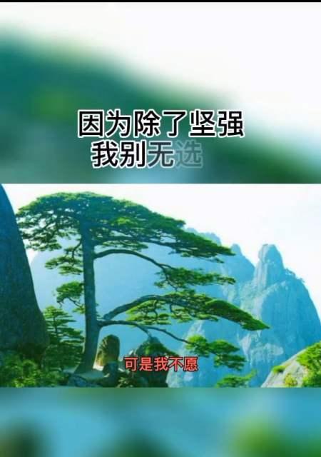 他扛下了所有的苦和累（一个平凡而伟大的爸爸的故事）-第2张图片-学作网