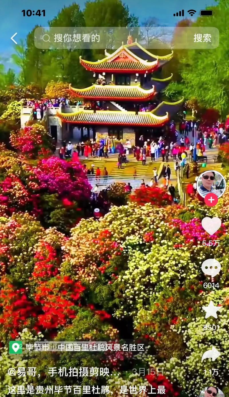 爱的力量（让生活变得更美好）-第2张图片-学作网