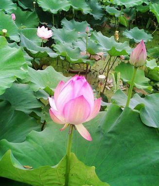 与苦与乐相遇勇敢前行（走出人生迷雾，寻找真正的自我）-第3张图片-学作网