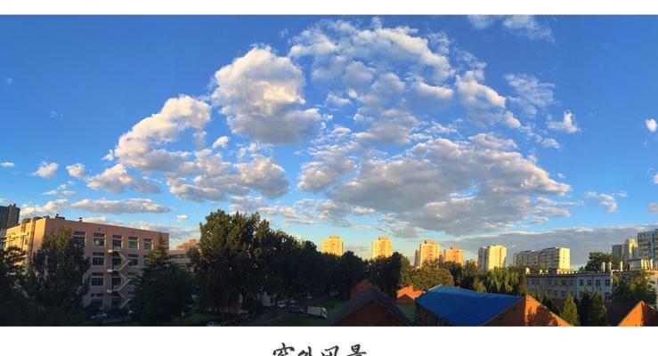 徐先生的静谧之夜（徐先生的静谧之夜）-第3张图片-学作网