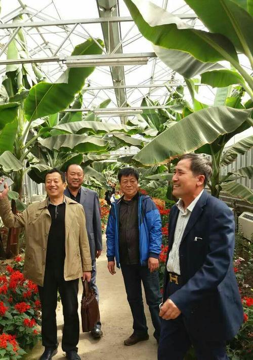 友情无价-第3张图片-学作网