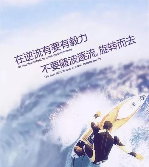向前的勇气（从零开始，一步一步走出自己的道路）-第3张图片-学作网