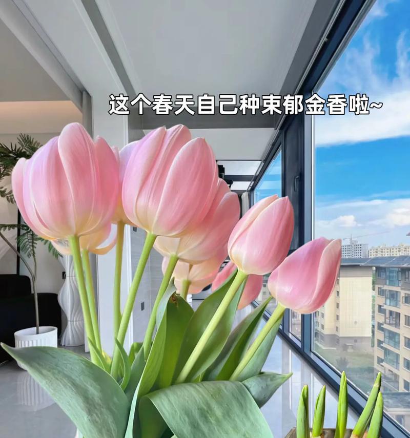 温暖的手（掌心的温度，世间的情感）-第1张图片-学作网