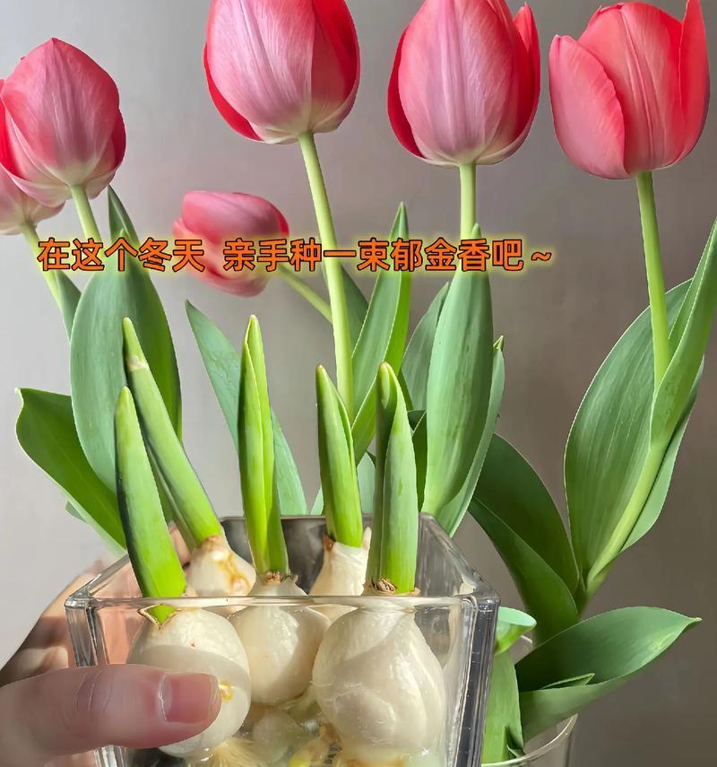 温暖的手（掌心的温度，世间的情感）-第3张图片-学作网