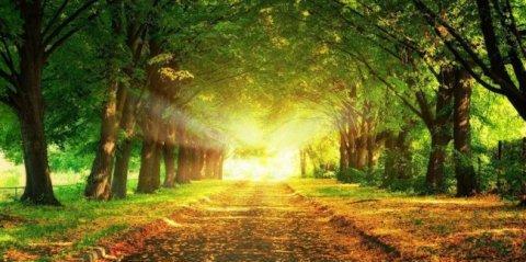 TheLongJourneyofMemories（ATaleofPerseveranceandRemembrance）-第2张图片-学作网