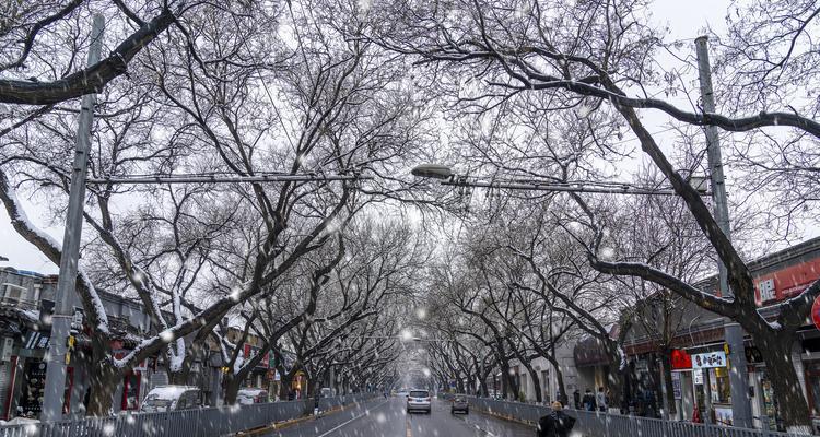 初雪降临奇妙的一天（白雪皑皑意外惊喜）-第1张图片-学作网