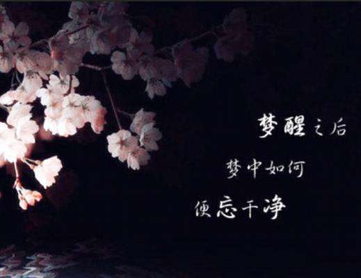 的语言流畅自然、情感真挚。-第1张图片-学作网