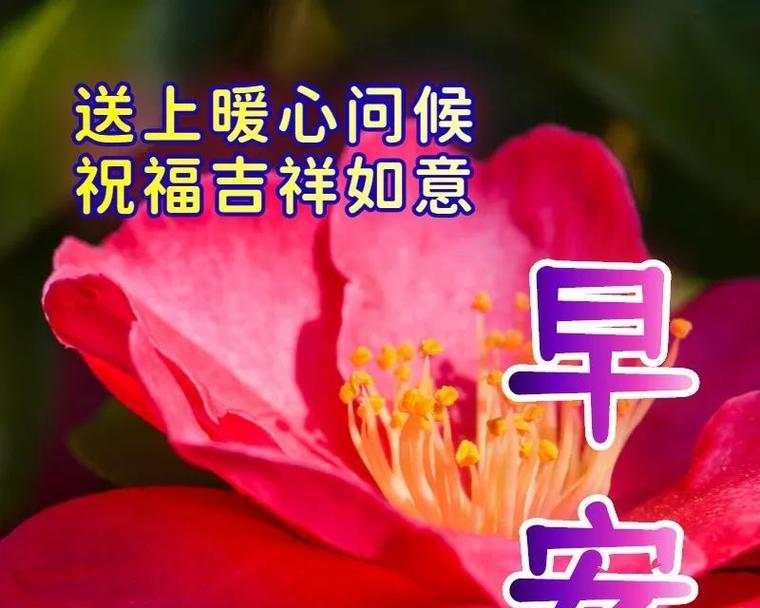 阳光温暖心田（寻找生命中的温暖）-第1张图片-学作网