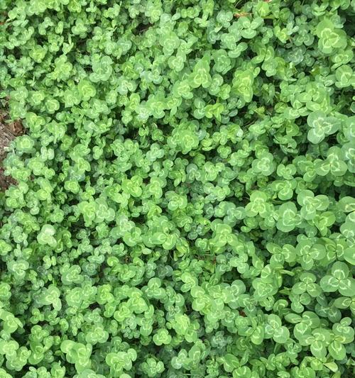 心灵的火苗——温暖无处不在（当看见生命中的点滴温情）-第3张图片-学作网