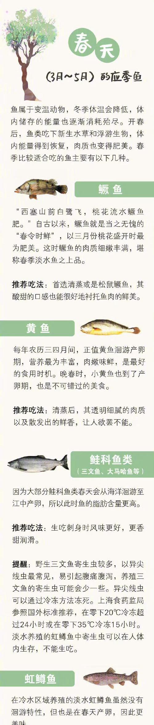四季故事：人生如四季，酸甜苦辣皆是风景-第3张图片-学作网