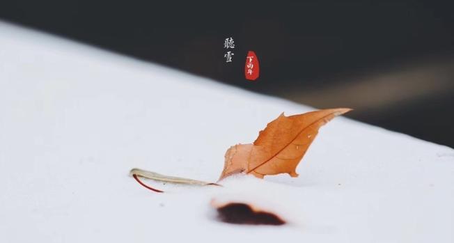 一场意外的相遇（一场意外的相遇）-第3张图片-学作网
