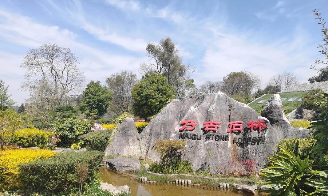 春天的希望（生命之源）-第1张图片-学作网