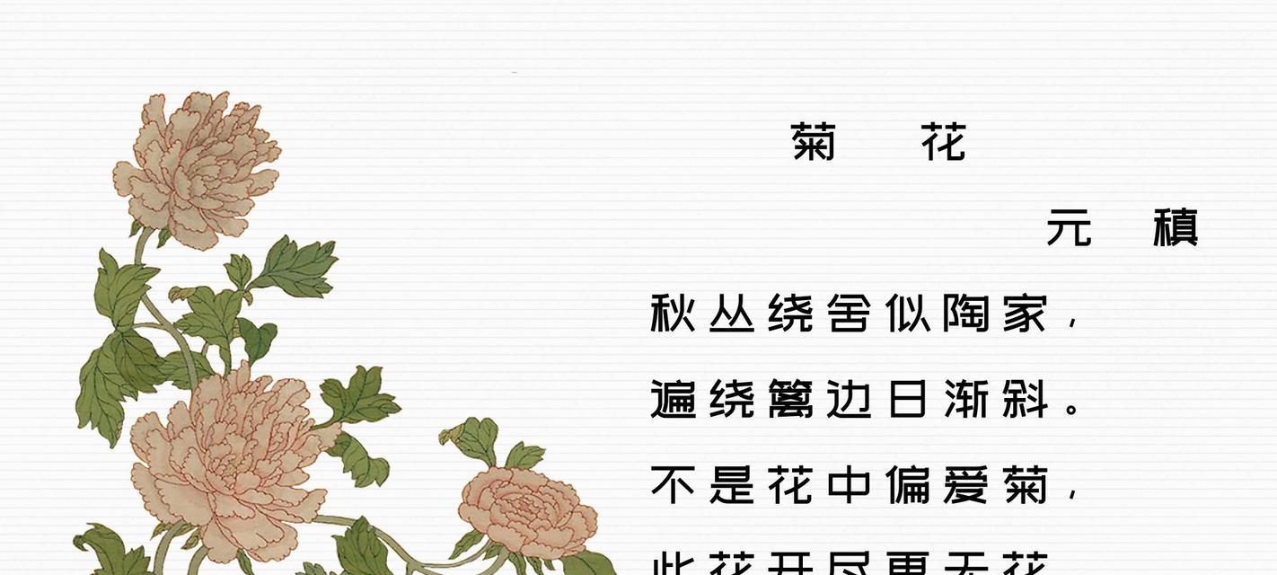 花开富贵（一个有关菊花的故事）-第1张图片-学作网