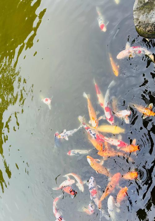 珍爱自然，珍爱生命（天蓝色的大海、阳光下的森林、河畔上的小村庄……）-第1张图片-学作网