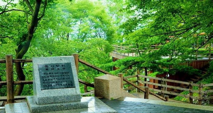 南山公园的迷失；（一个热爱大自然的男孩的探险之旅；）-第3张图片-学作网