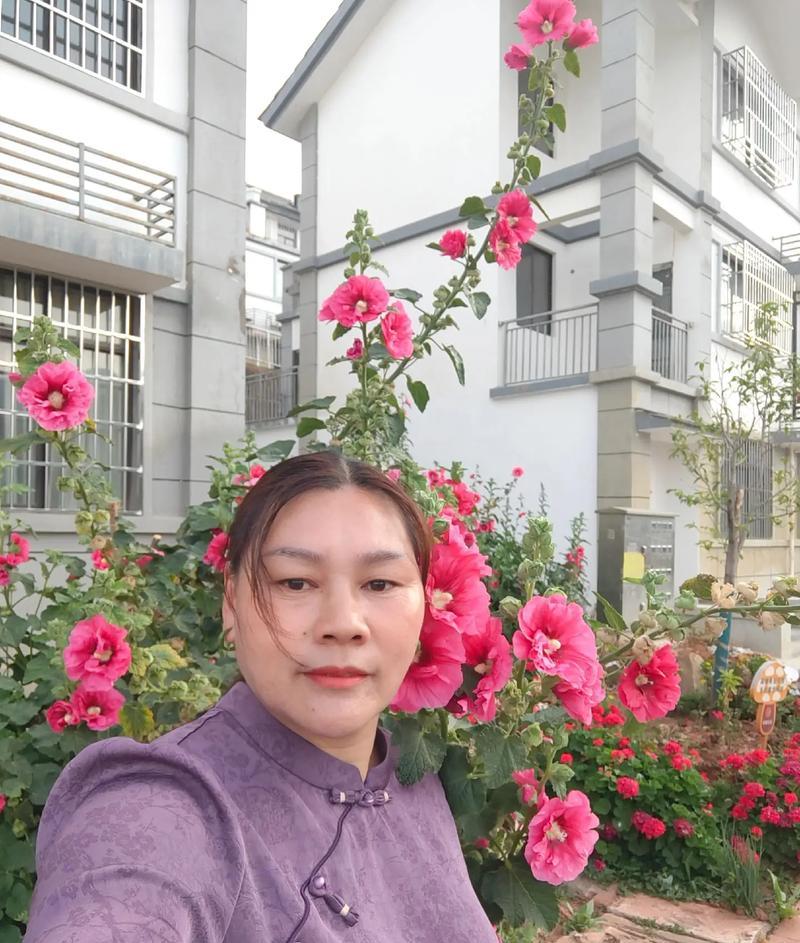 温暖之光（关爱他人，共享温情）-第3张图片-学作网
