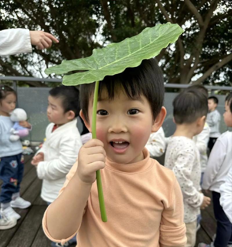 春天的喜悦（在阳光下，一起欢笑）-第3张图片-学作网