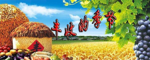 我的秋天独一无二（以喜悦和欢笑为主题的秋天故事）-第2张图片-学作网