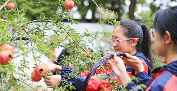 以劳动果实获得欢乐的小故事（只要有心，人人都可以获得快乐）-第2张图片-学作网