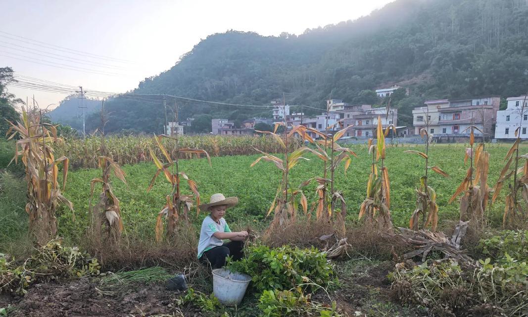 一个季节，一种味道，一段青春回忆（一个季节，一种味道，一段青春回忆）-第1张图片-学作网