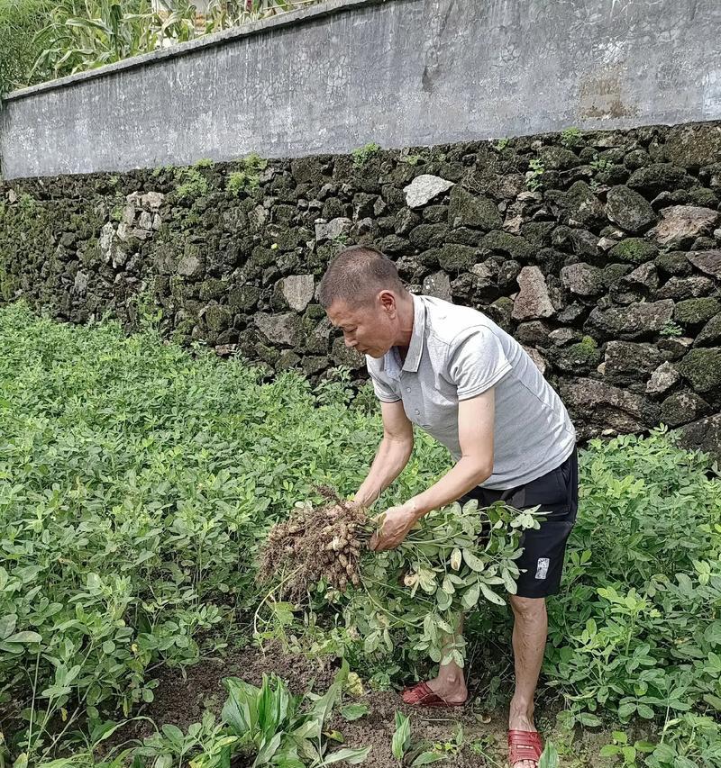 一个季节，一种味道，一段青春回忆（一个季节，一种味道，一段青春回忆）-第2张图片-学作网