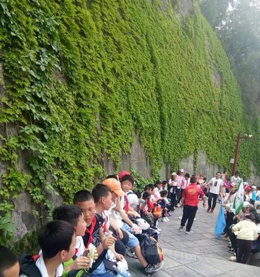 探寻历史的脚步（探寻历史的脚步）-第3张图片-学作网