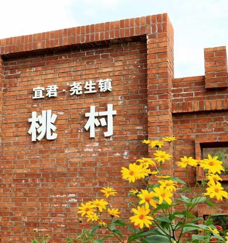 归来（爱护美丽的故乡）-第3张图片-学作网