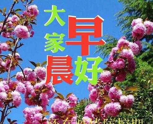 微笑是雨后的彩虹（阳光总在风雨后）-第1张图片-学作网