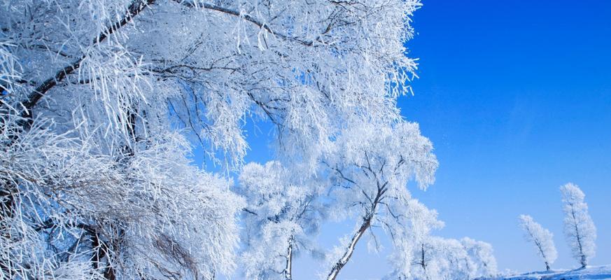 白雪皑皑下的冬日童话（小女孩的冬日漫步）-第3张图片-学作网