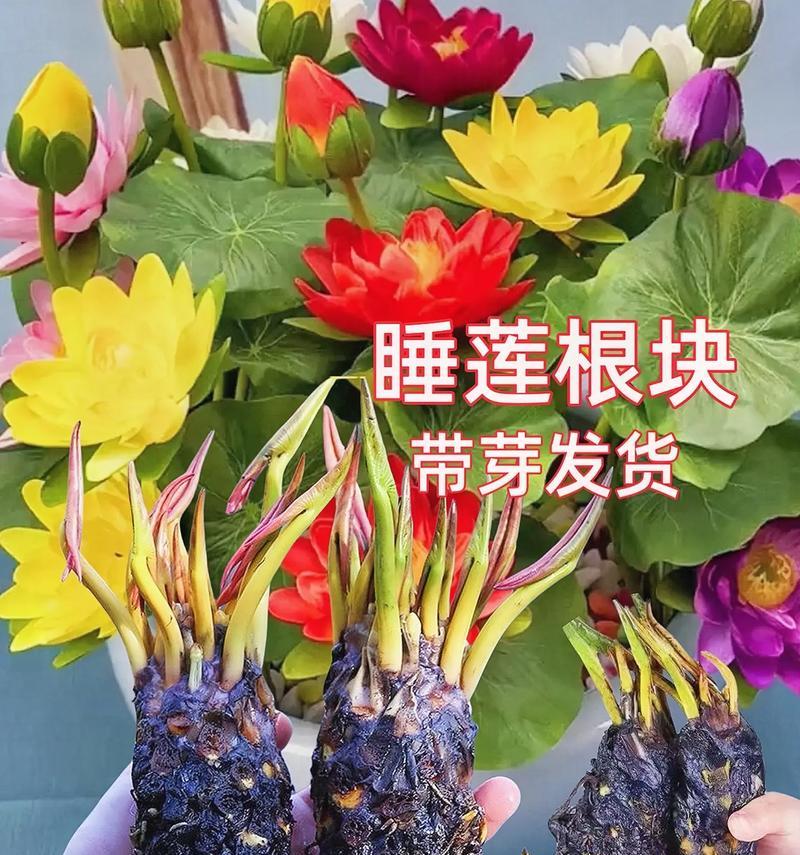 寻找生活的意义（一个平凡人的努力与坚持）-第2张图片-学作网