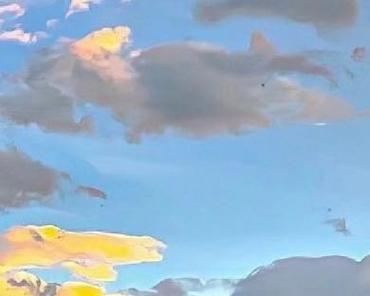 温暖时刻（寻找心灵的归属）-第2张图片-学作网